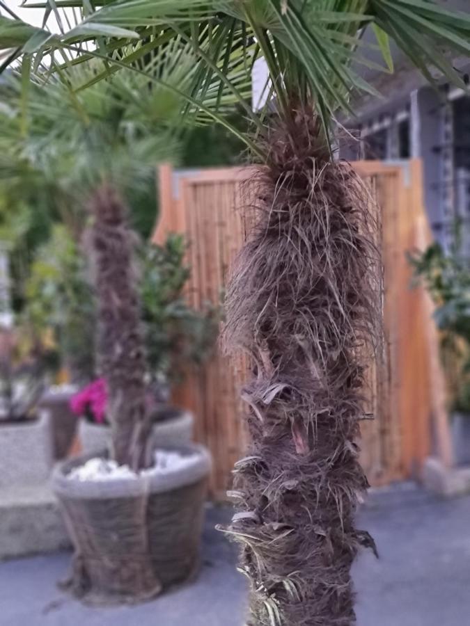 בודנסדורף Bambu Lodge @ Ossiachersee מראה חיצוני תמונה
